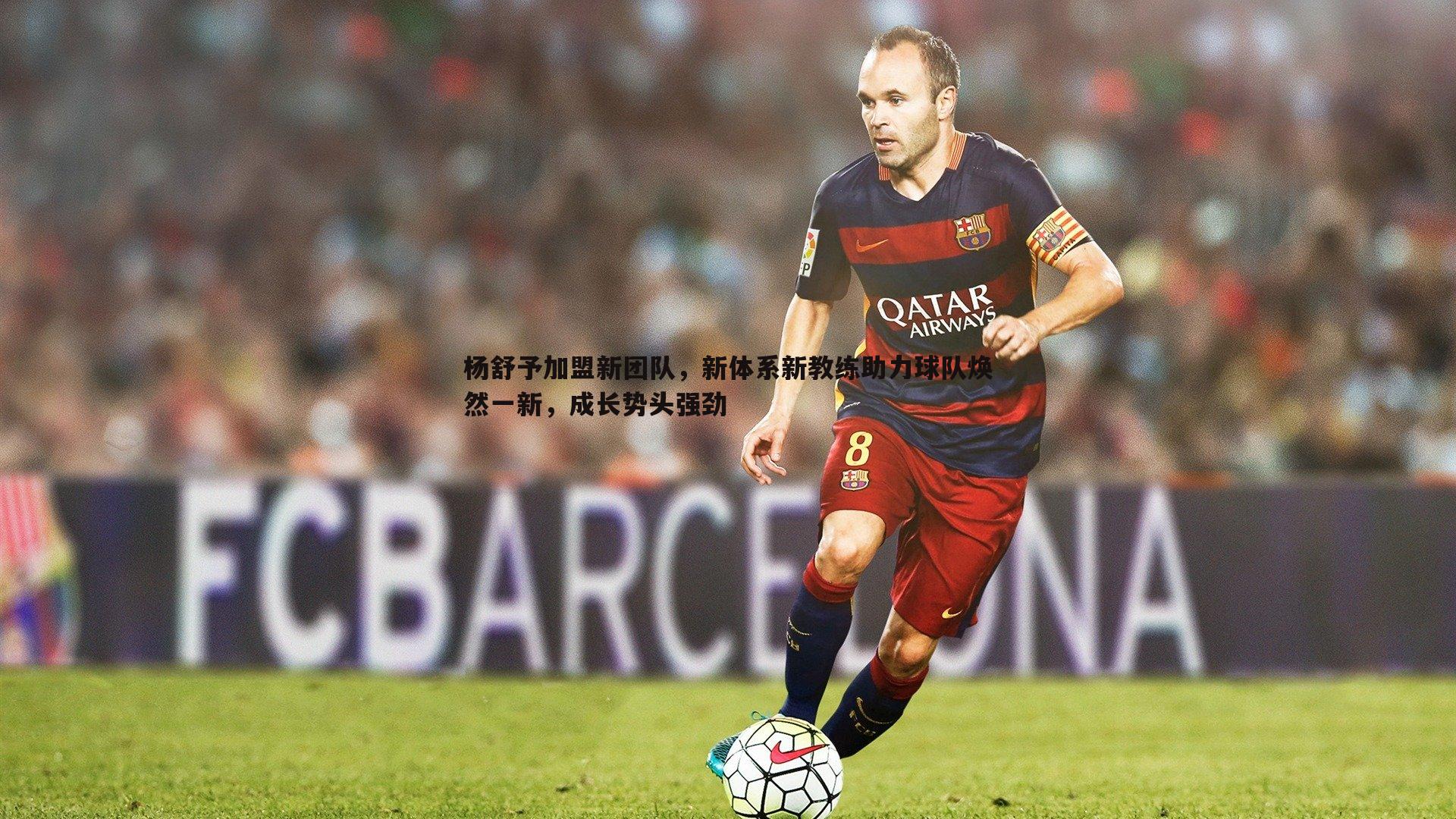 杨舒予加盟新团队,新体系新教练助力球队焕然一新,成长势头强劲